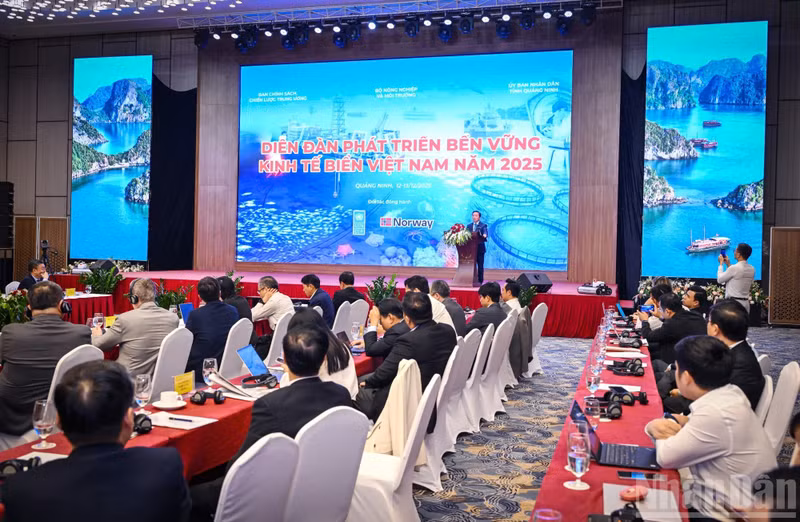 Vista general del foro.