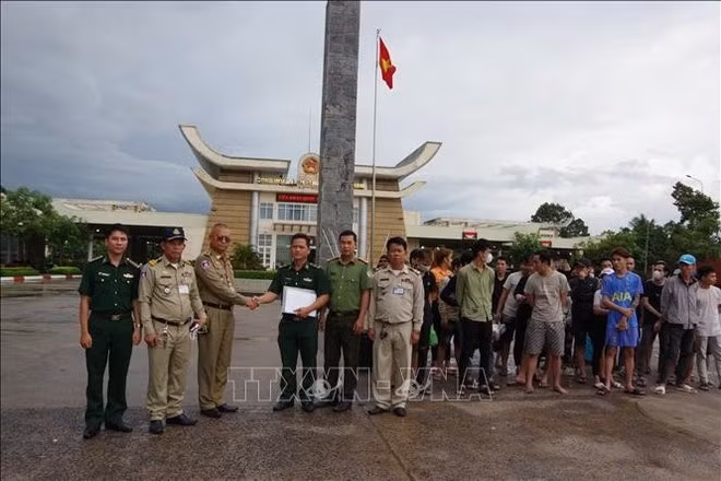 Las autoridades vietnamitas realizan los trámites para recibir a ciudadanos que fueron obligados a trabajar y rescatados en Camboya. (Foto: VNA)