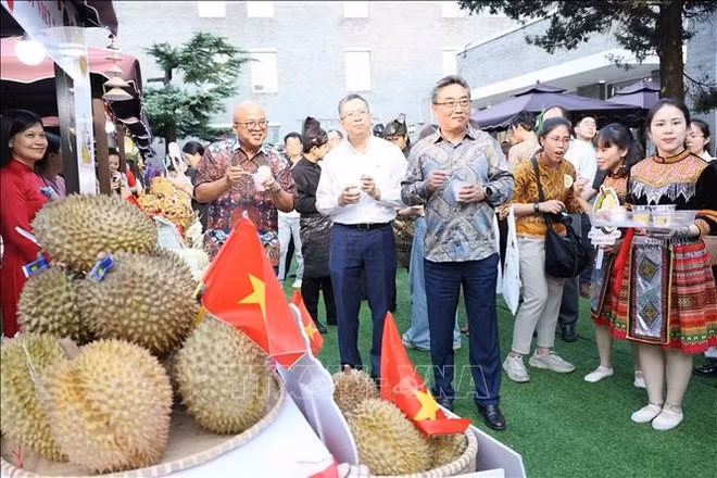 Embajadores y representantes diplomáticos de los paíse del Sudeste Asiático visitan el stand de Vietnam. (Foto: VNA)