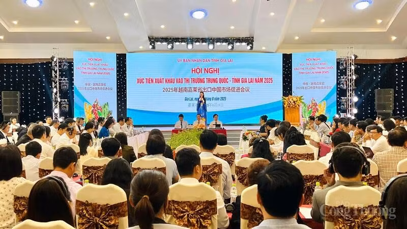 Escena de la conferencia. (Foto: congthuong.vn) 