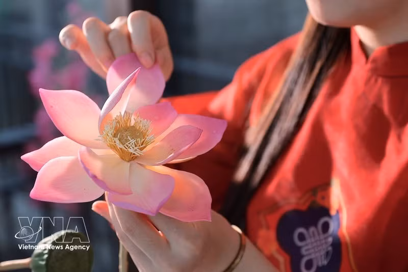 Cada pétalo de loto se ajusta, curva y ensambla a mano, en un meticuloso proceso para conseguir una flor de aspecto suave y natural. (Foto: VNA)
