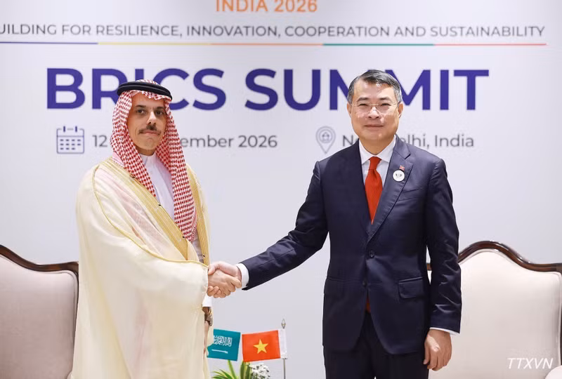 El jefe del Gobierno vietnamita se reúne con el ministro de Relaciones Exteriores de Arabia Saudita, Faisal bin Farhan Al Saud. (Foto: Duong Giang/VNA)