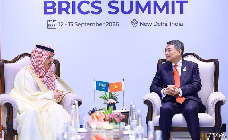 El jefe del Gobierno vietnamita se reúne con el ministro de Relaciones Exteriores de Arabia Saudita, Faisal bin Farhan Al Saud. (Foto: Duong Giang/VNA)