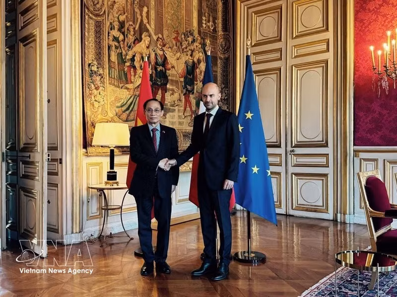 El ministro de Relaciones Exteriores, Le Hoai Trung, y su homólogo francés, Jean-Noël Barrot. (Foto: VNA)