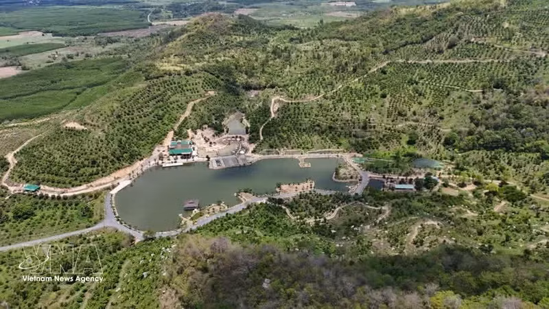 El modelo de agricultura orgánica circular en Khanh Hoa está mostrando beneficios económicos iniciales. (Foto: VNA)