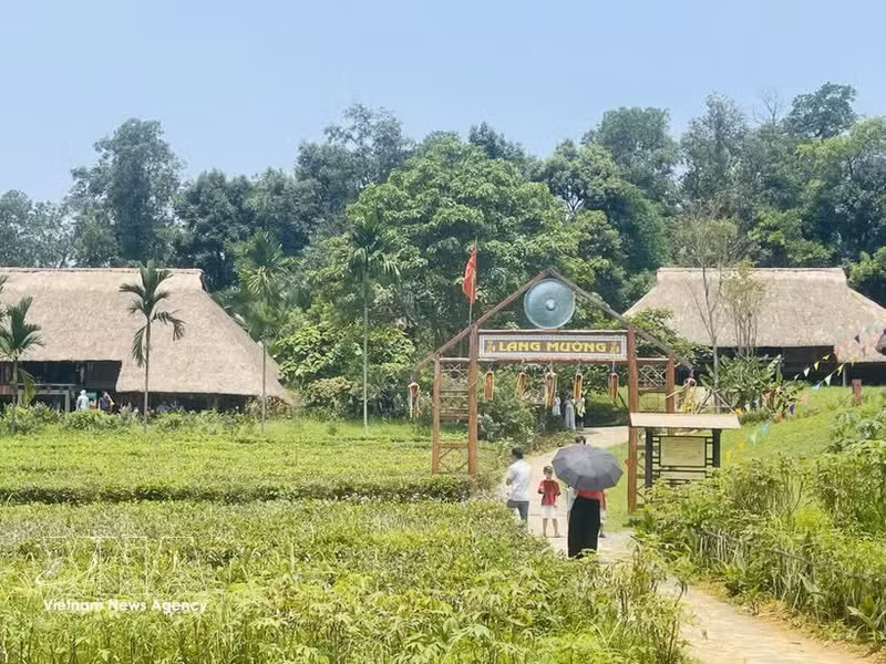 El espacio del pueblo Muong, ubicado en el complejo del “Aldea de Cultura y Turismo de las Etnias de Vietnam”, se ha convertido en uno de los más apreciados por visitantes y turistas. (Foto: VNA)
