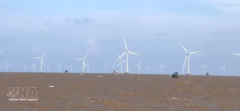 El sistema de turbinas eólicas marinas de la empresa eólica Tien Giang. (Foto: VNA)