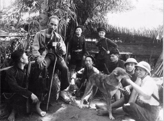 El Presidente Ho Chi Minh descansando camino a su trabajo en la base de la resistencia del Viet Bac durante la lucha contra el colonialismo francés. Fue un ejemplo para la nación en su práctica del ahorro para generar recursos para el desarrollo nacional. (Foto: VNA)