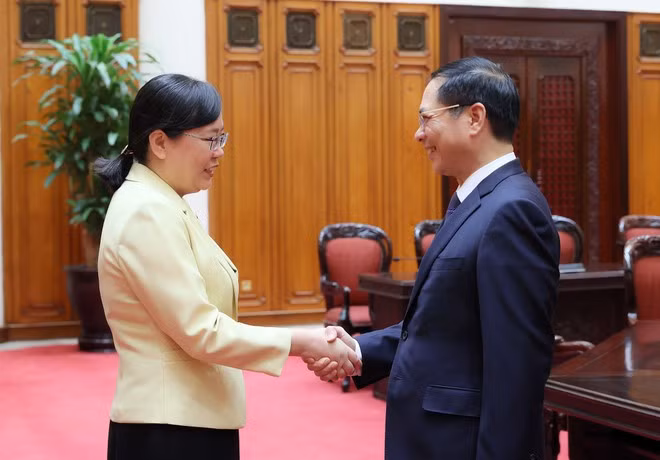 El viceprimer ministro de Vietnam Bui Thanh Son recibe a Zhang Guozhi, vicegobernadora de la provincia china de Guangdong. (Foto: VNA)