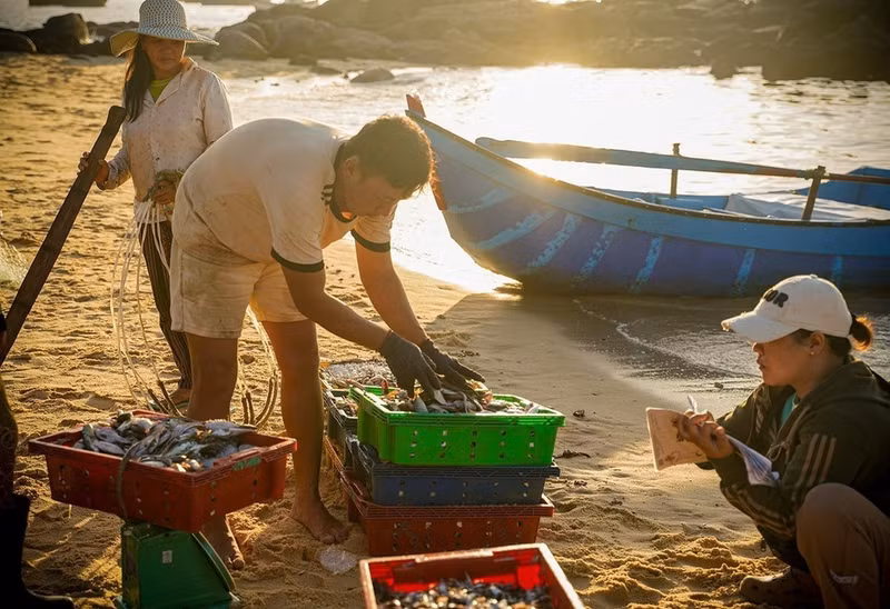 Mariscos recién capturados se compran directamente. (Foto: VNA)