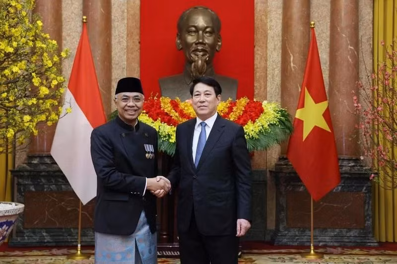 El presidente Luong Cuong (derecha) y el recién nombrado embajador de Indonesia, Adam Mulawarman Tugio. (Foto: VNA)