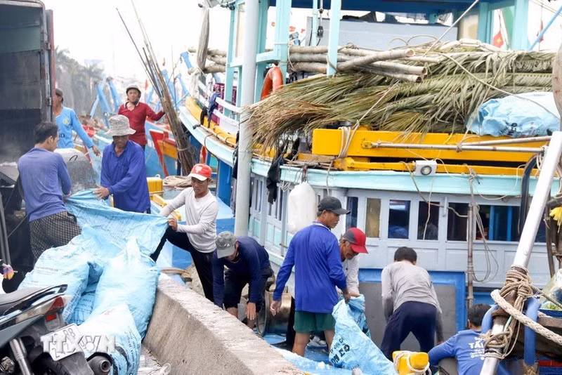 Los pescadores preparan aparejos de pesca, hielo y otros artículos necesarios para su primera salida de pesca del año en el puerto pesquero de Phan Thiet. (Foto: VNA)