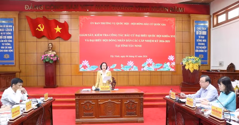La vicepresidenta de la Asamblea Nacional de Vietnam, Nguyen Thi Thanh, en la sesión de trabajo. (Foto: VNA)