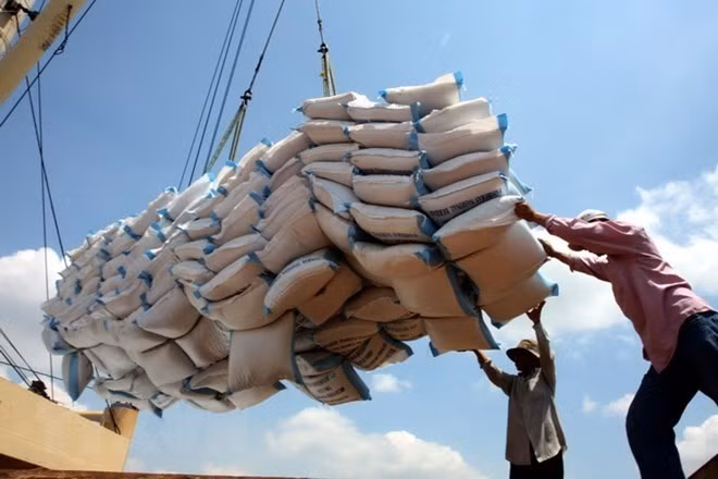 Arroz vietnamita listo para la exportación. (Foto: VNA)