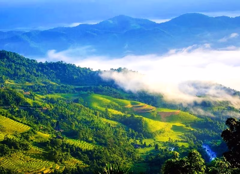 Cuando llega el otoño, el color amarillo de los campos en terrazas empieza a extenderse por las montañas. Cuando llega el otoño, el color amarillo de los campos en terrazas empieza a extenderse por las montañas.
