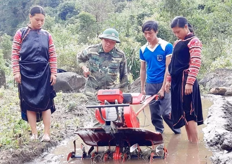 Los oficiales y soldados de la Guardia Fronteriza de Lai Chau instruyen a la gente a utilizar arados para cultivar arroz húmedo, lo que genera una alta eficiencia económica.