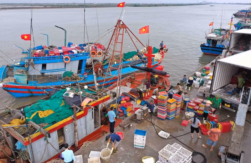 La certificación de salida y trazabilidad de los productos acuáticos provenientes de la explotación se realiza de acuerdo con lo establecido en la Ley de la Pesca.