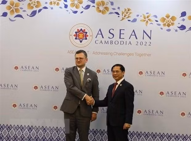 El ministro de Relaciones Exteriores de Vietnam, Bui Thanh Son (D), y su homólogo ucraniano, Dmytro Kuleba. (Fotografía: VNA)