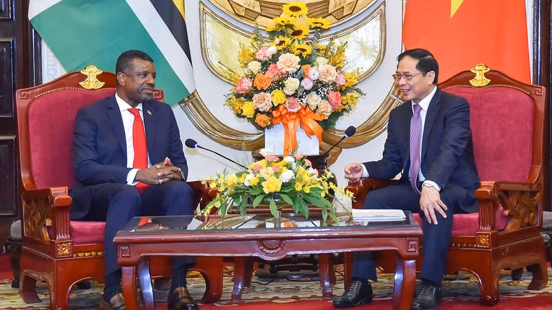 El canciller vietnamita, Bui Thanh Son, recibe al ministro de Relaciones Exteriores, Negocios Internacionales, Comercio y Energía de Dominica, Vince Henderson.