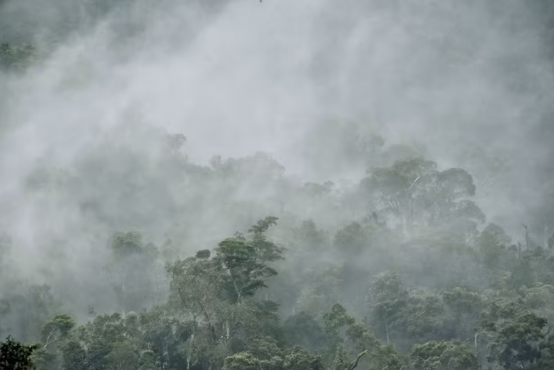 Una vista del Parque Nacional Kon Ka Kinh, un área central de la Reserva Mundial de Biosfera Kon Ha Nung.