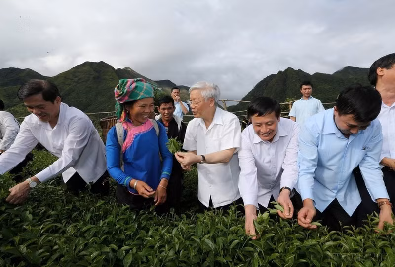 El secretario general Nguyen Phu Trong visita un modelo de producción intensiva de té en la comuna de Ban Bo, distrito de Tam Duong, provincia norteña de Lai Chau, el 14 de julio de 2016.