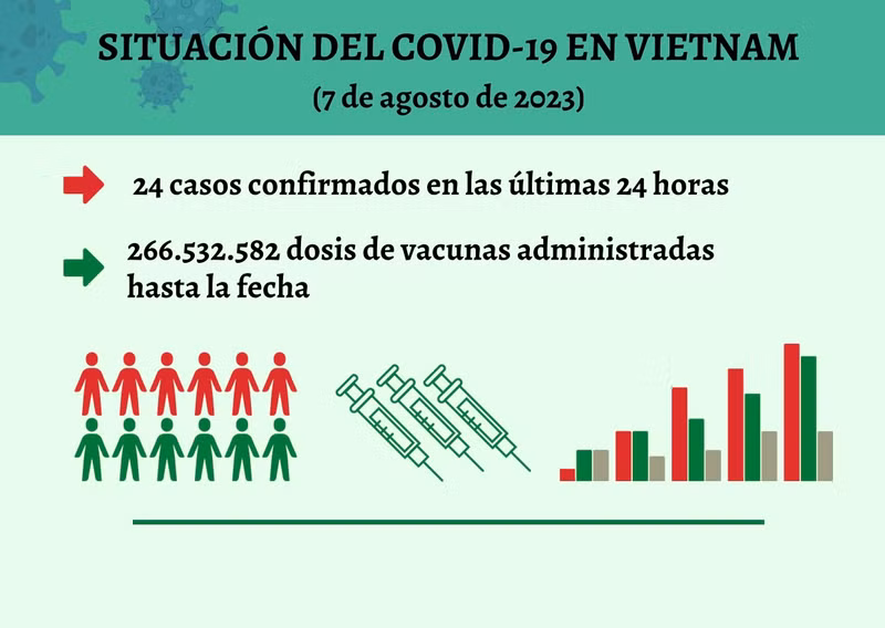 Infografía: Actualización sobre la situación del Covid-19 en Vietnam - 7 de agosto de 2023