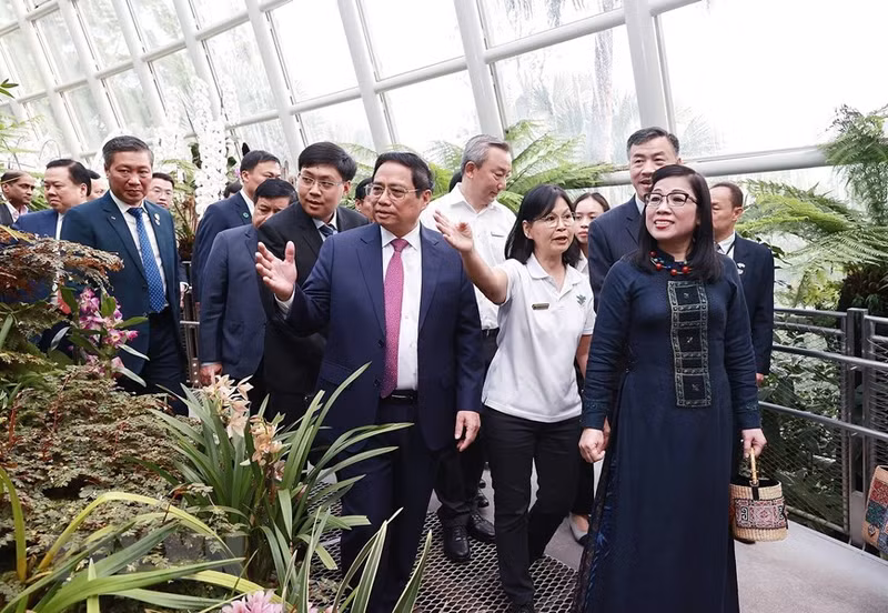 Delegación vietnamita recorre por el Jardín Botánico de Singapur.