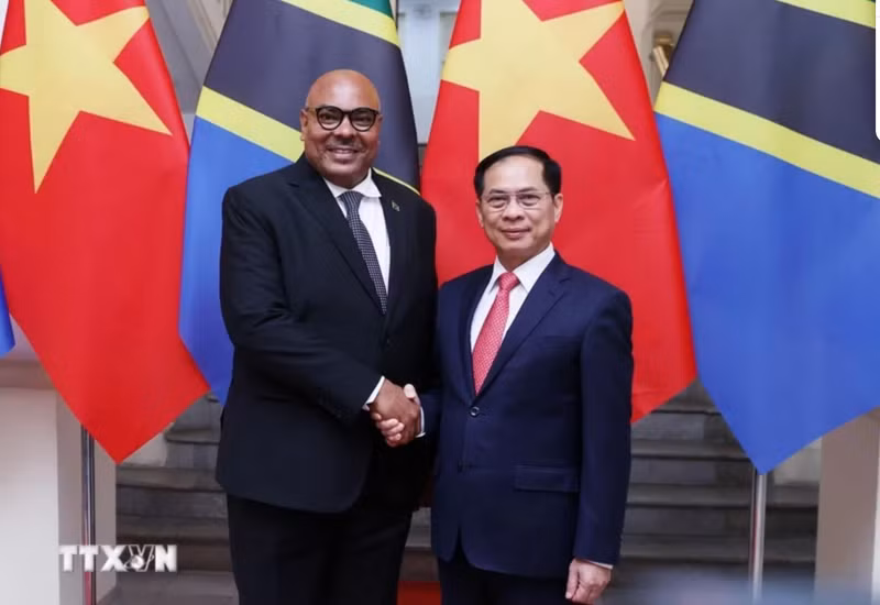 El vicepremier y canciller vietnamita Bui Thanh Son y el ministro de Asuntos Exteriores y Cooperación de África Oriental de Tanzania, Mahmoud Thabit Kombo (Foto: VNA)