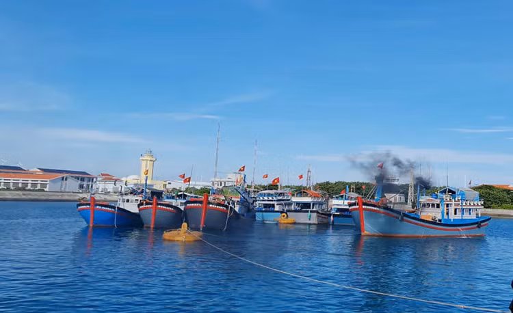 Fotografía; thuysanvietnam.com.vn
