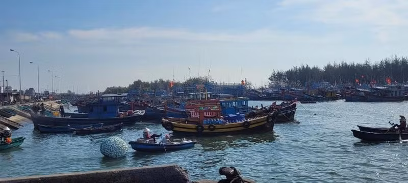 Ba Ria-Vung Tau intensifica esfuerzos para combatir pesca ilegal (Foto: VNA)