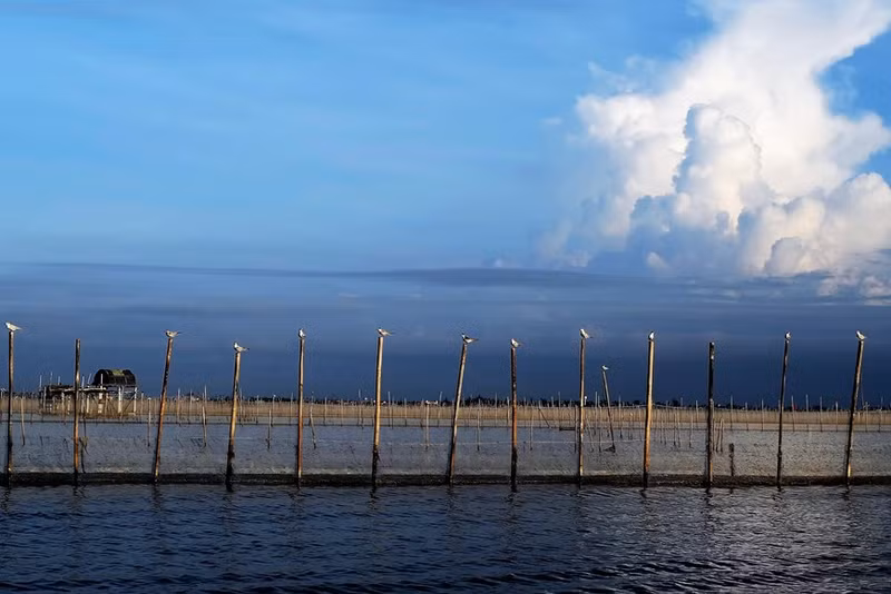 La imagen de los pájaros posados en los postes evoca el tranquilo escenario de la laguna Chuon.