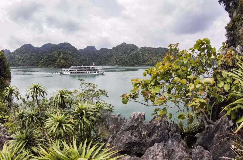 Los itinerarios nocturnos de los cruceros dejan tiempo para que los turistas exploren la belleza única de esta región del Golfo. Los itinerarios nocturnos de los cruceros dejan tiempo para que los turistas exploren la belleza única de esta región del Golfo.