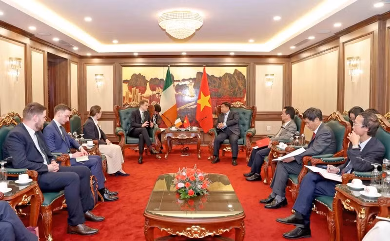 En el encuentro entre el ministro de Planificación e Inversión de Vietnam, Nguyen Chi Dung, y James Browne, ministro de Estado en el Departamento de Justicia de Irlanda (Foto: Vientam+)