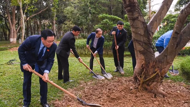 Dinh Hue planta árboles en la zona especial de reliquias nacionales de Kim Lien.