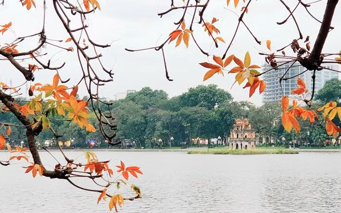 Fotografía: VTV