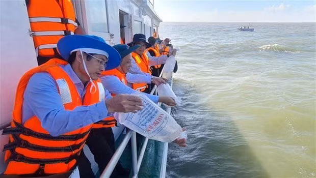 Los alevines de camarón son liberados al mar en la provincia sureña de Bac Lieu. (Foto: VNA)