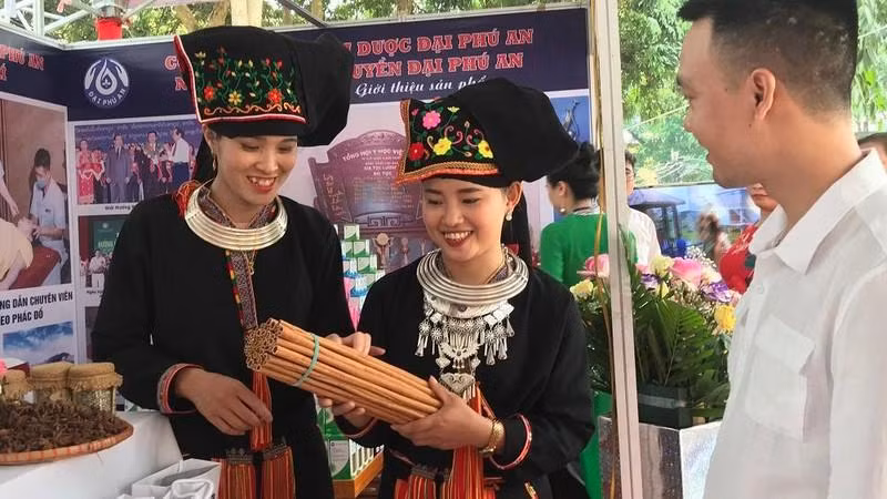 Promueven marca de canela del distrito vietnamita de Van Yen