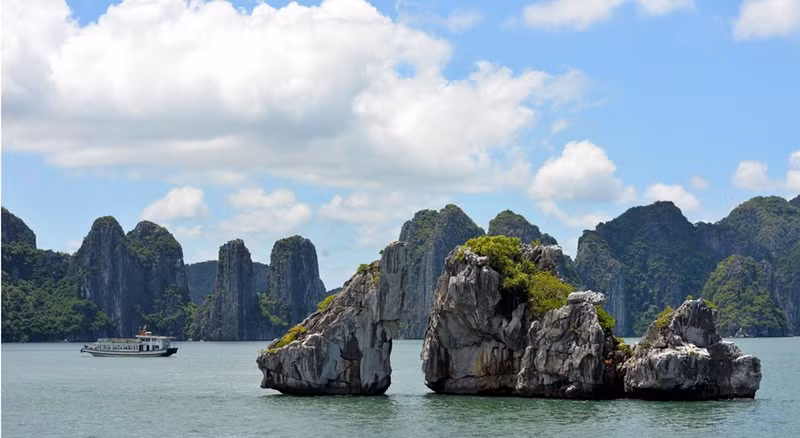 La parte trasera de la isla de Trong Mai luce como un pez.