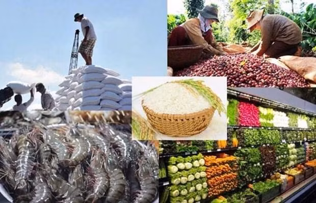 Foto ilustrativa (Fuente: vneconomy.vn)