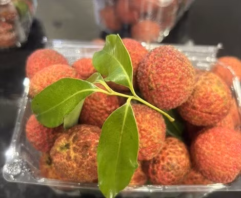Lichi vietnamita sin semillas se vende en el Reino Unido. (Fotografía: VNA)