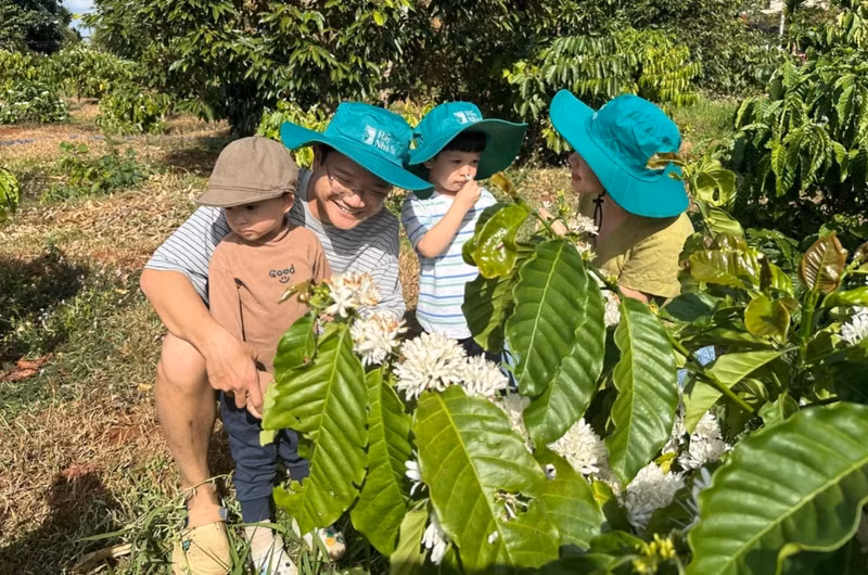 Exploran plantaciones de café especiales en provincia vietnamita de Dak Lak (Foto: VOV)