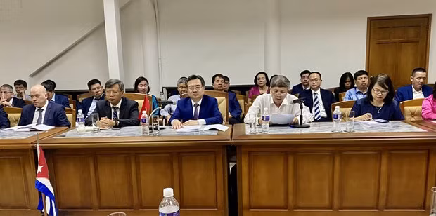 El panorama de la reunión. (Foto: VNA)