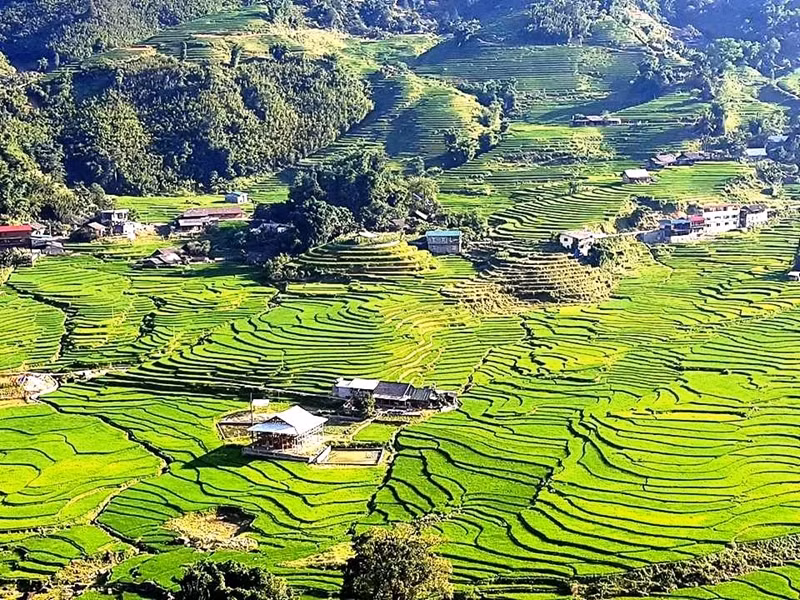 El valle brilla con el suave color verde de las plántulas de arroz. El valle brilla con el suave color verde de las plántulas de arroz.
