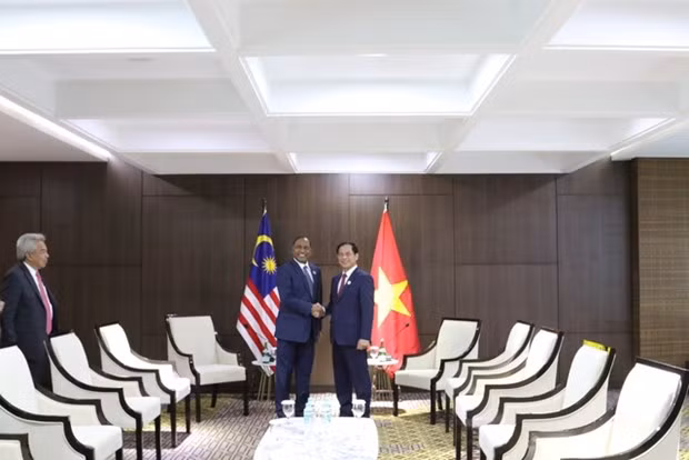 Encuentro entre los cancilleres de Vietnam, Bui Thanh Son, y de Malasia, Dato’s Seri Zambry Abdul Kadir. (Fotografía: VNA)
