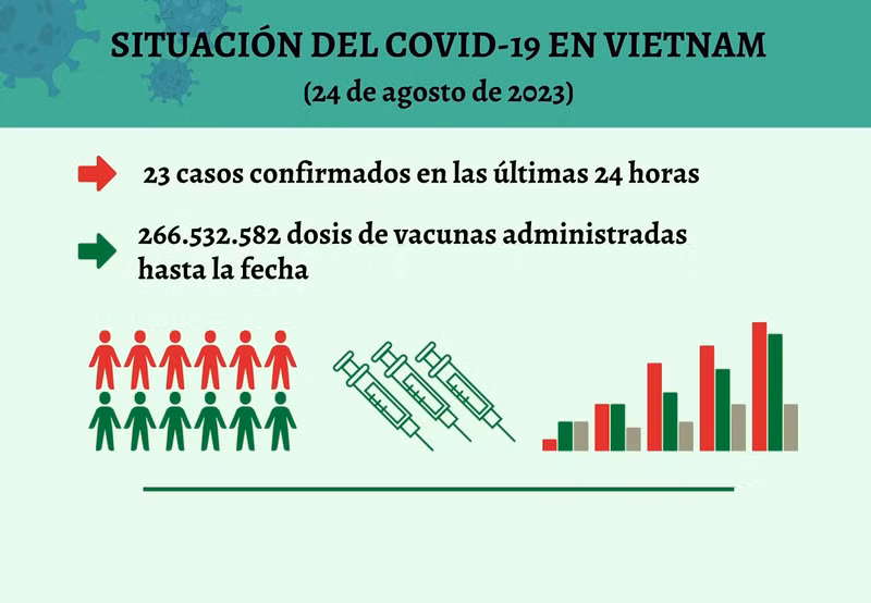 Infografía: Actualización sobre la situación del Covid-19 en Vietnam - 24 de agosto de 2023