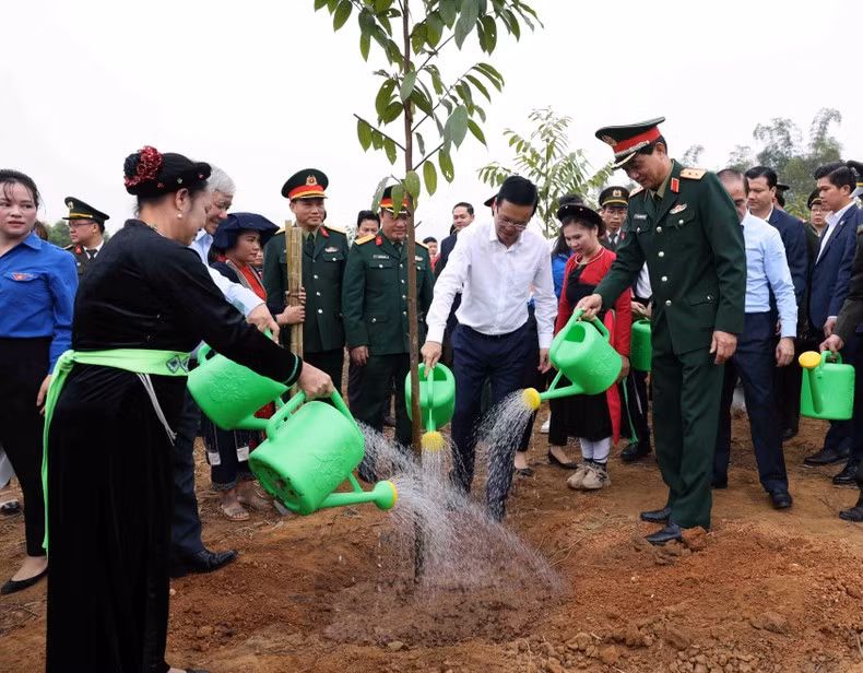 Presidente de Vietnam lanza Festival de plantación de árboles 2024 ảnh 1