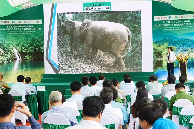 En el evento (Foto: laodong.vn)