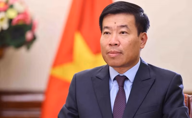 El viceministro de Relaciones Exteriores de Vietnam, Nguyen Manh Cuong. (Foto: VNA)