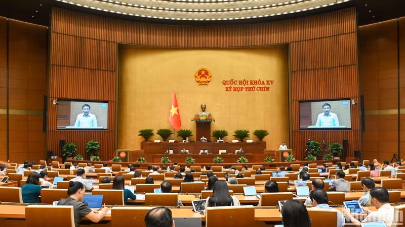 Parlamento de Vietnam debate políticas especiales para el desarrollo del sector privado y la elaboración de leyes