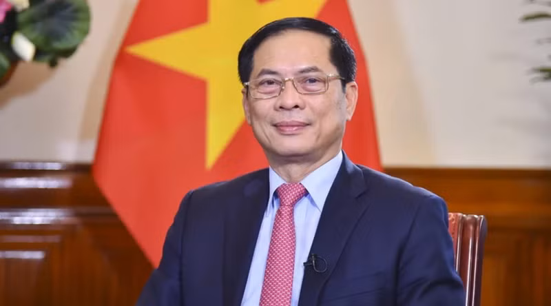 El viceprimer ministro y ministro de Relaciones Exteriores de Vietnam, Bui Thanh Son (Foto: VNA)